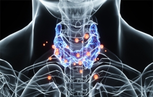 ��ꎼ׿����˶ࣿ��ˮ�]���^�V��߀��ɶԭ��