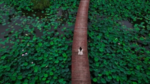 �o�˙C��һҕ�ǣ��ͺ����폈����