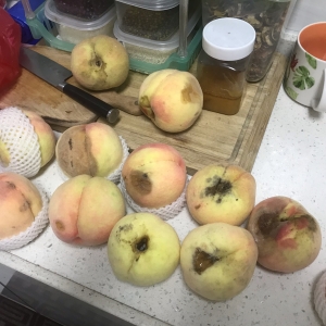 �ع�һ�������u���ˣ����҂���ע�⣬�o��ȫ�Ǡ����ӣ�����......