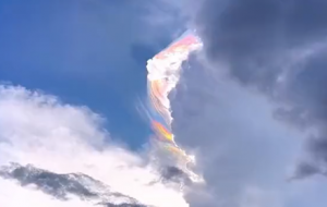 ����@�F�߲����ƣ�Ҋ�ߺ��\������SԸ��