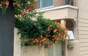 �������L���������������_�Mһ��Ƭ