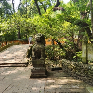 ��������Â�(g��)�Σ��з�܇�����������ǿ옷����