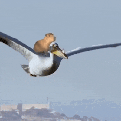 ��u��ǰ�|�ҿ������Ϻ��ИI(y��)ǰ50�����]�뵽��ꎷֹ�˾����