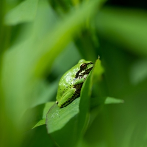 ���~�����ǷN�Gɫ���ܣ��F��߀�І᣿�ö���]ȥ�^������