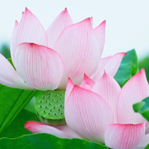 ���L�ꇺɻ��㣬�������g�õط�