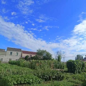 �đ����o������̎̎���Ǿ���