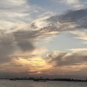 Ϧ��S�ģ�ĺɫ��������������