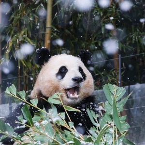 �����ɐ�(��i)�ֺ����������˯�􇣇�