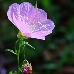 ��Ҋ(ji��n)���S�ģ����՟o(w��)�£�ֻ����æ