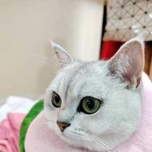 ؈���S�ģ��l�ܾܽ^�@Ư��С�ɐ�