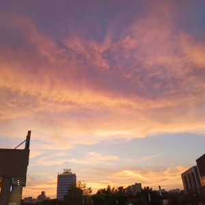 ���շ�������Ը������ϼ