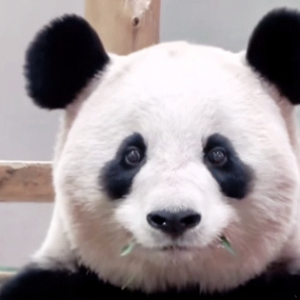 ��؈�������������ǈA�L�L�_�ĵ�һ��