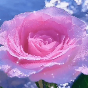 �������Ļ������Լ�������