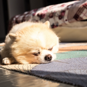 �IĿ�ˣ����ܕ�̫� ��һ���Ƥ�w�^���������͏Ͷ�ʮ����