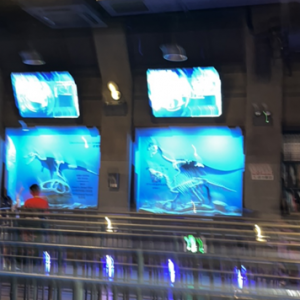 �ҵĹԹԣ��K���y�����^ɽ���������ڶ�����