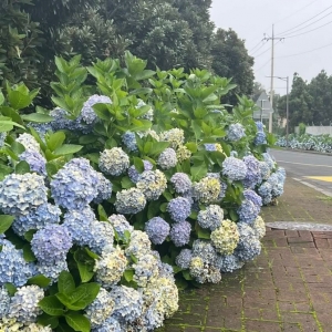 �ճ�������Ըһֱ����СϪ߅���h�x���е�����