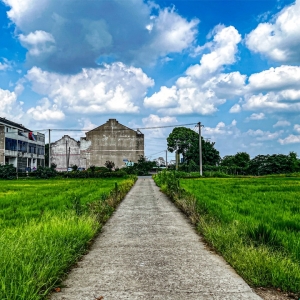 �S�ģ����������ƶ�һ�ӣ�����������