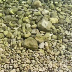 ��������T�������ԡ�̫ꖵĜ���