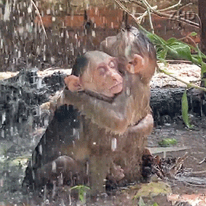 ���rӛ�������ζ���L�۲�Ь������߀���I��