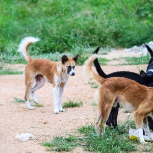 �l�����������ӹ�ҧ�ˣ��Y���������������l�S�Ϻ�ե�ˣ�