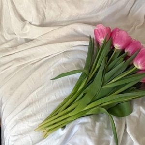 Ը�������Д����M���r���c����