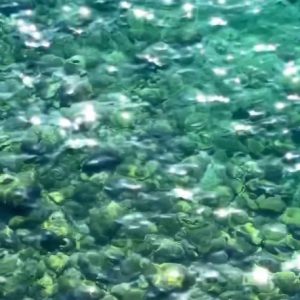 �峺Ҋ�׵ĺ������������g�ɾ�