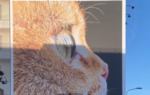 ߀���lӛ���@ֻ؈�����ɐ۵�