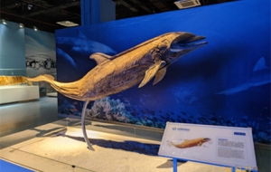 �����^ģ���S�ģ��W����Ȥ����֪�R