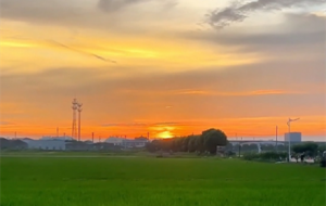 �l(xi��ng)Ұ���g����ϼ�������S�������