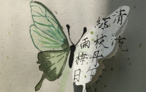 �o���������W�W�l(f��)��ĺ���