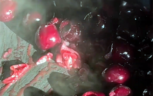 �óԵĲ����ˣ��²��@������ʲô��ʳ