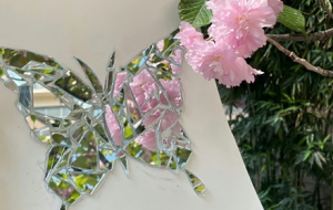 ���ϵĺ������������� ����ҫ��