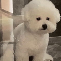 �@ЩԒ��ǰ��������ˣ��F�ڵ���ֻ���f����Ԓ  �ͺã��Ʉe���Ԟ�����