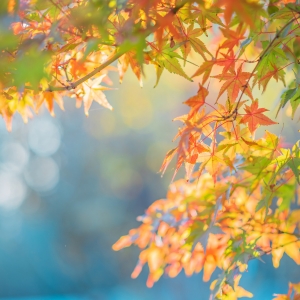 ������ˣ��@������Ҫ��β�ˣ�Ը��λ�����춼�кõ��ի@