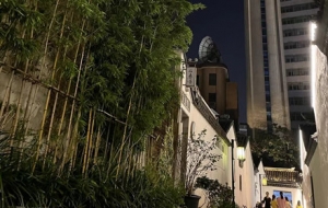 �²ۣ�ԭ���ŽַՇ������x�Ͻ֣��F�ھ��Ǵ�ͬС�����]����ɫ���̘I��