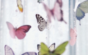 ��������ĺ�����ÿһ�N����̔����ģ�