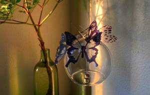 �ֹ�DIY��Ư���ĺ���׌��Ų���_��