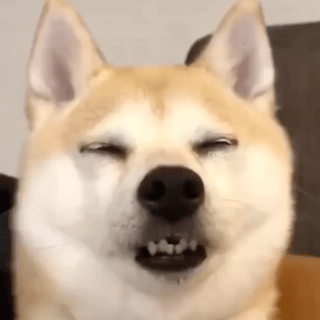 ʮ�겻(li��n)ϵ��ͬ�WͻȻ�ּ��ң��s�ҺȾ�������