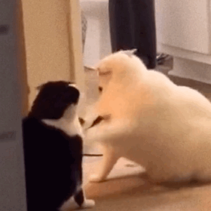 30�K�X�k���M���ϰ��ã��]�뵽��׌�Ҹ�ִ��c����ֻ��Ǻǣ�