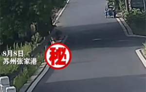 ��Σ�U�����4�q��ͯ���Թ��_���ߵ����Ҹ�