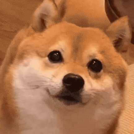 ���Ѽ�С�����s�l�嶨�򎟷����ˣ��Ժ��������������~