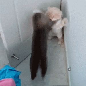 �F�ڵĹ�˾�����p�ú�,��Ƹ�r�򶼲���н�Y����