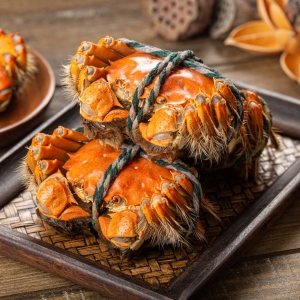 �뵽��ւ����A���۳Ե�з�����ˣ����˰��µ��ǲ��ǾͿ��Գ��з����