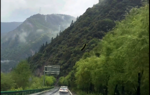 ���ƶˣ������ɣ����R�������l