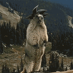 ������Խ��Խ�]Ԓ����ԓ��ô�k