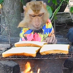 �����ؑٺ��y�S�o���飬�����Ѕ^��������...