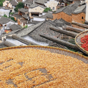 ��X���ģ�һ���������L�����I��