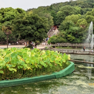 �����S�ģ�һ��׷���Lȥ���аɣ�