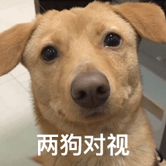 ������ѵ��Y�a߀��һ�䡰��Ҫ����Ĵ����ҵ�һ�D��X�ȡ���׌���wĽ�����@