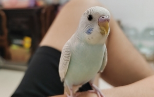 ������������o�p�p���_ʼ���B��